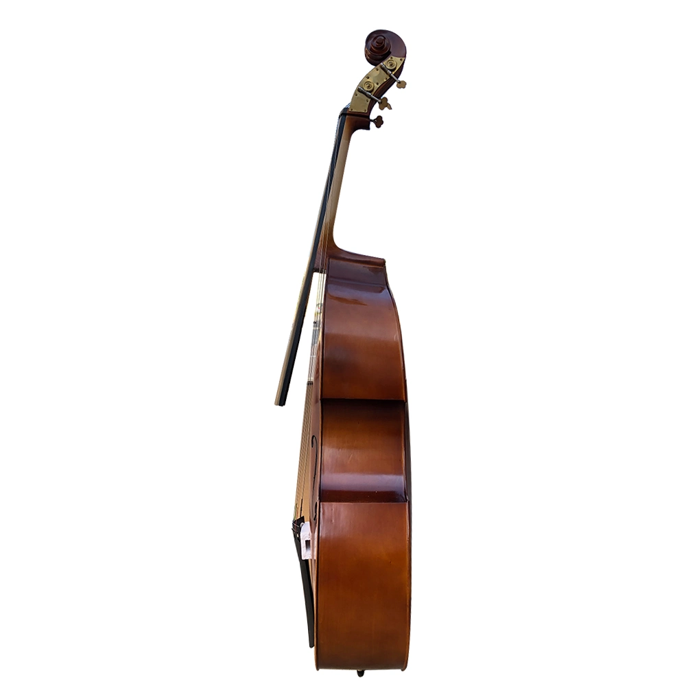 Professional Factory Price Laminated Beginner Universal Double Bass