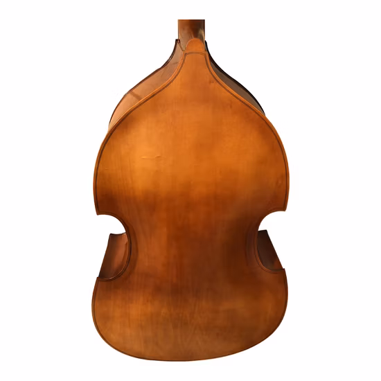 Prix ​​professionnel étudiants débutants allemagne contrebasse mate